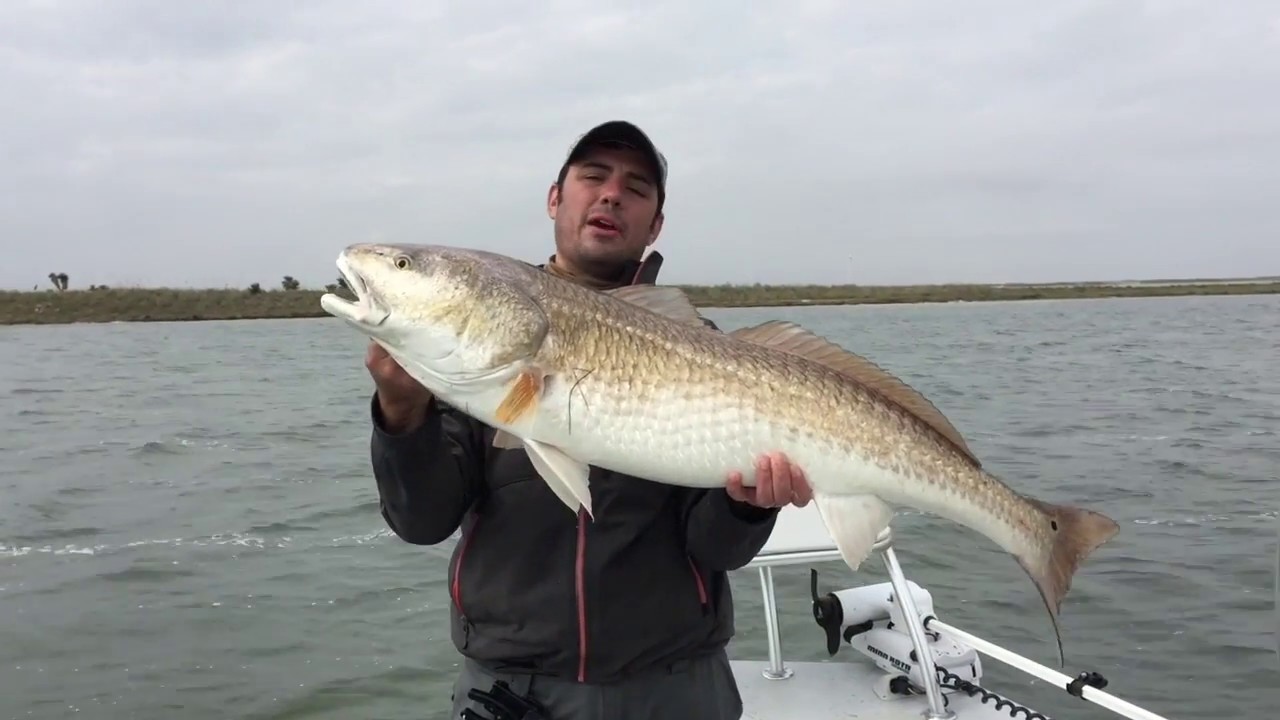Fishing For Giant Trophy Redfish In The Texas Land Cut On Light Tackle Fishing For Giant Trophy Redfish In The Texas Land Cut On Light Tackle
