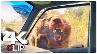 Lion Chases Nate Back To Safari Jeep Scene | BEAST (NEW 2022)