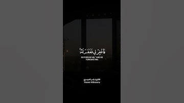 قَالَ رَبِّ إِنِّي ظَلَمْتُ نَفْسِي فَاغْفِرْ لِي|القارئ ياسر الدوسري