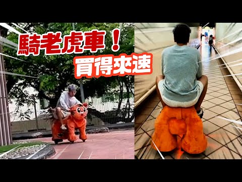 騎「老虎兒童車」買得來速、到處購物　店員笑翻～｜搞笑｜社牛｜挑戰
