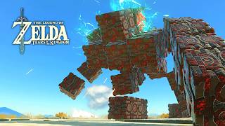 NEW! Seized Flux Construct - Zelda Tears of the Kingdom