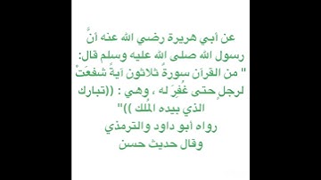 من القرآن سورة ثلاثون آية شفعت لرجل حتى غُفِرَ له ….✨✨