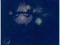 The Budos Band - Origin of Man
