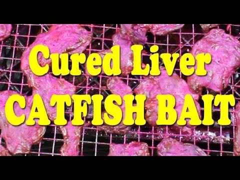 Secret Catfishing Bait!!! Fishing for catfish with cured liver