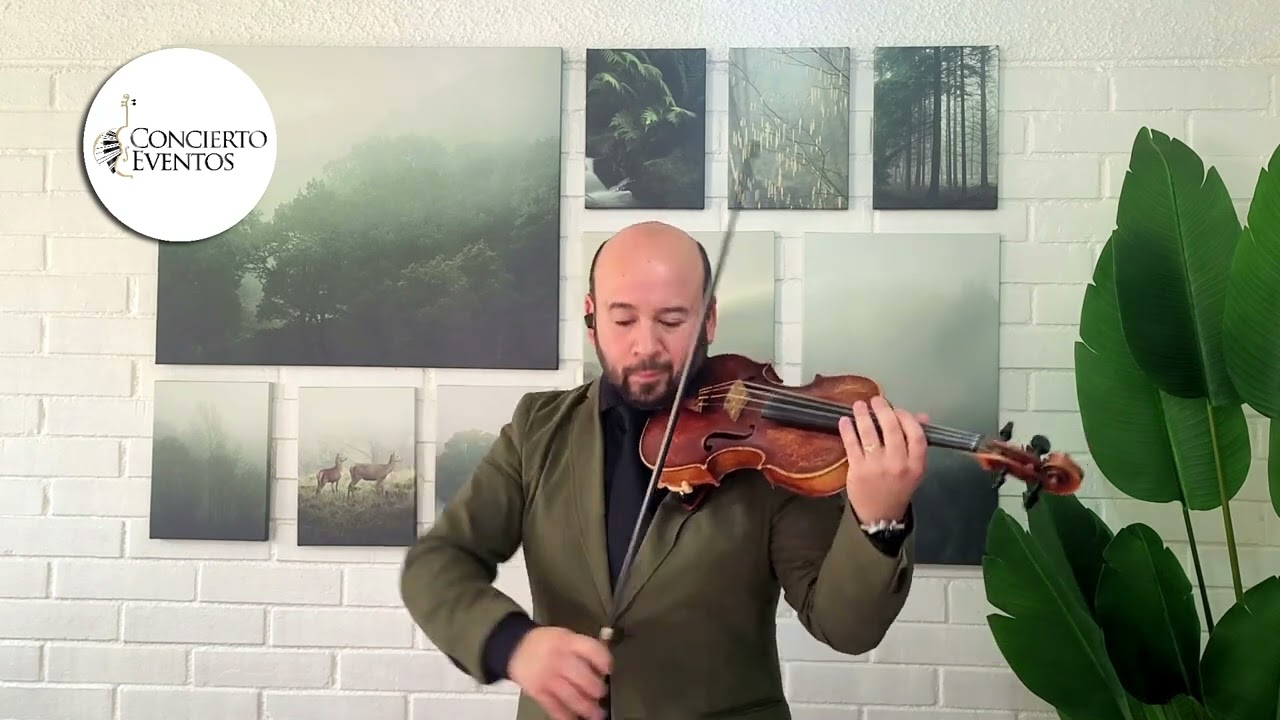 ConciertoEventos/Love Me like You Do, Ellie Goulding violín