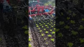 Robot Tractor Agbot By Agxeed With Robotic Cultivator Iselect By K.u.l.t Usa || #Shorts