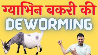 Gabhin Bakri Ki Deworming बकर क इलज और दखभल