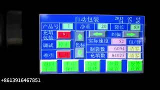 Automatic VFFS vertical puffed food snacks raisins nuts granule pouch weighing packing machine