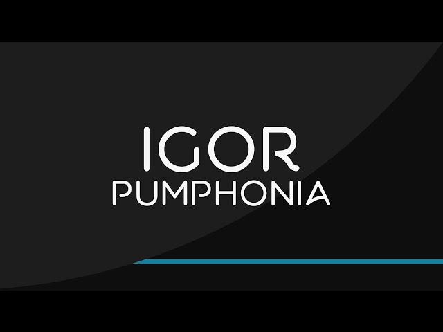 Igor Pumphonia - Whip