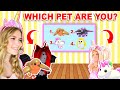 What PET Are We in Adopt Me? (Roblox)