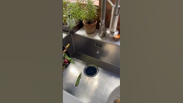 When it comes to kitchen gadgets, a food waste disposal unit is a non-negotiable🤝#insinkerator