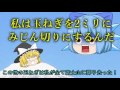 【ゆっくり茶番】チルノの逆襲