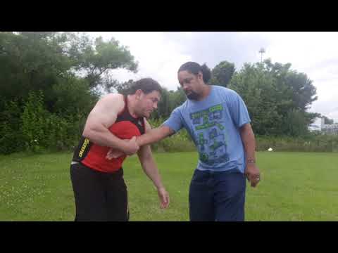 Systema Learn Punch
