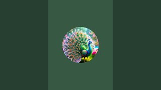 Geru گیرو is live