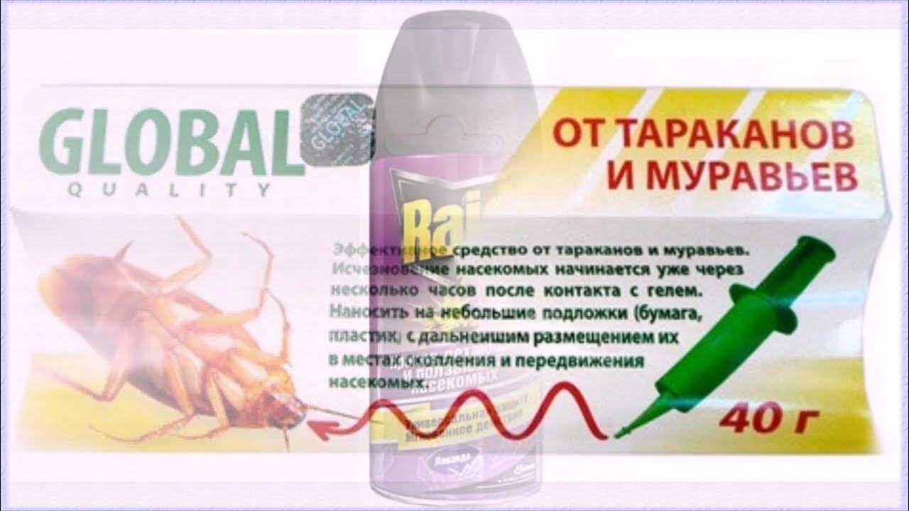 15 самых лучших и эффективных средств от тараканов - YouTube
