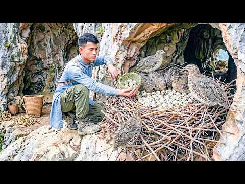 Catching 100+ Giant Wild Quails & Selling At The Country Market — Sustainable Life On A Small Farm