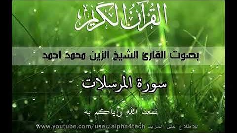 سورة المرسلات الشيخ الزين محمد أحمد