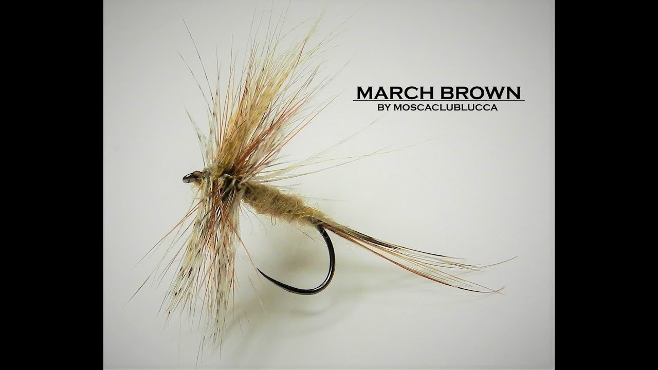 March Brown