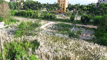 bashundhara Riverview