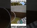 Little aquarium in minecraft 🤑#mostviralvideo #viral #minecraft #ytshorts #gaming
