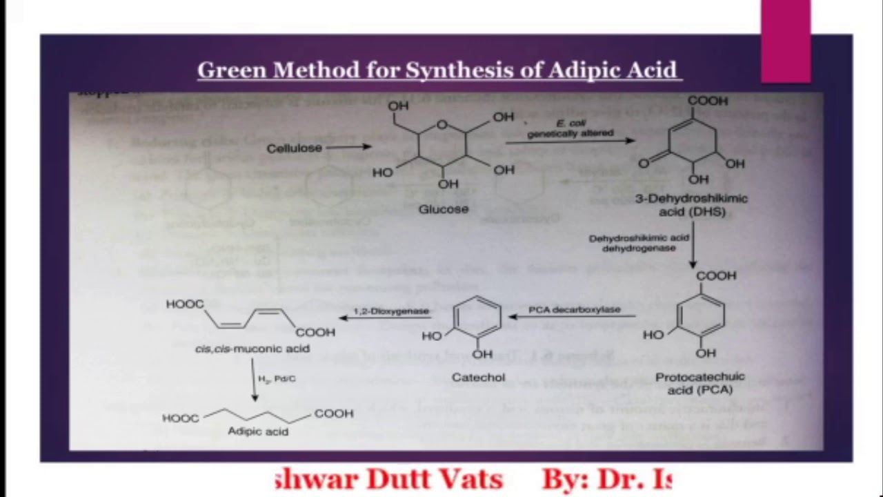 Green Synthesis of Adipic acid - YouTube