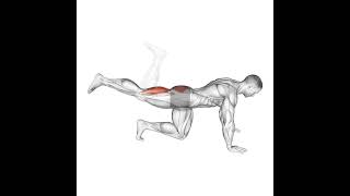 quadruped leg curl