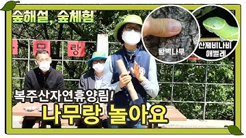 [라이브방송 편집본]숲해설가가 전해드리는 #복주산자연휴양림​​​​​​​ - 나무랑 놀아요