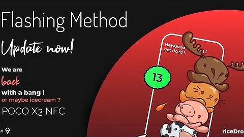Flashing Guide Of Ricedroid 6.0 Ice Cream Poco X3 NFC Initial A13 Build