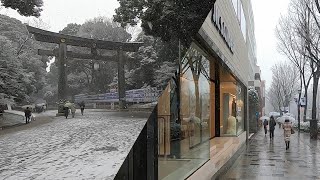 Tokyo Snowy Day -- Walk from Omotesando to Meiji Shrine | 雪の東京　表参道から明治神宮へ