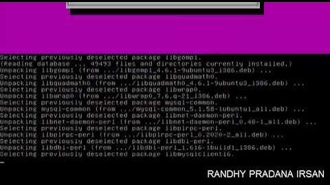 Konfigurasi DNS dan WEb server ( Ubuntu server 11.10 )