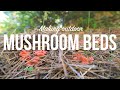 Outdoor Mushroom Beds | The Easiest Way to Grow Edible Mushrooms in Your Garden or Back Yard!