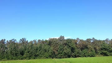 E-Flite UMX Carbon Cub SS with AS3X - short flight