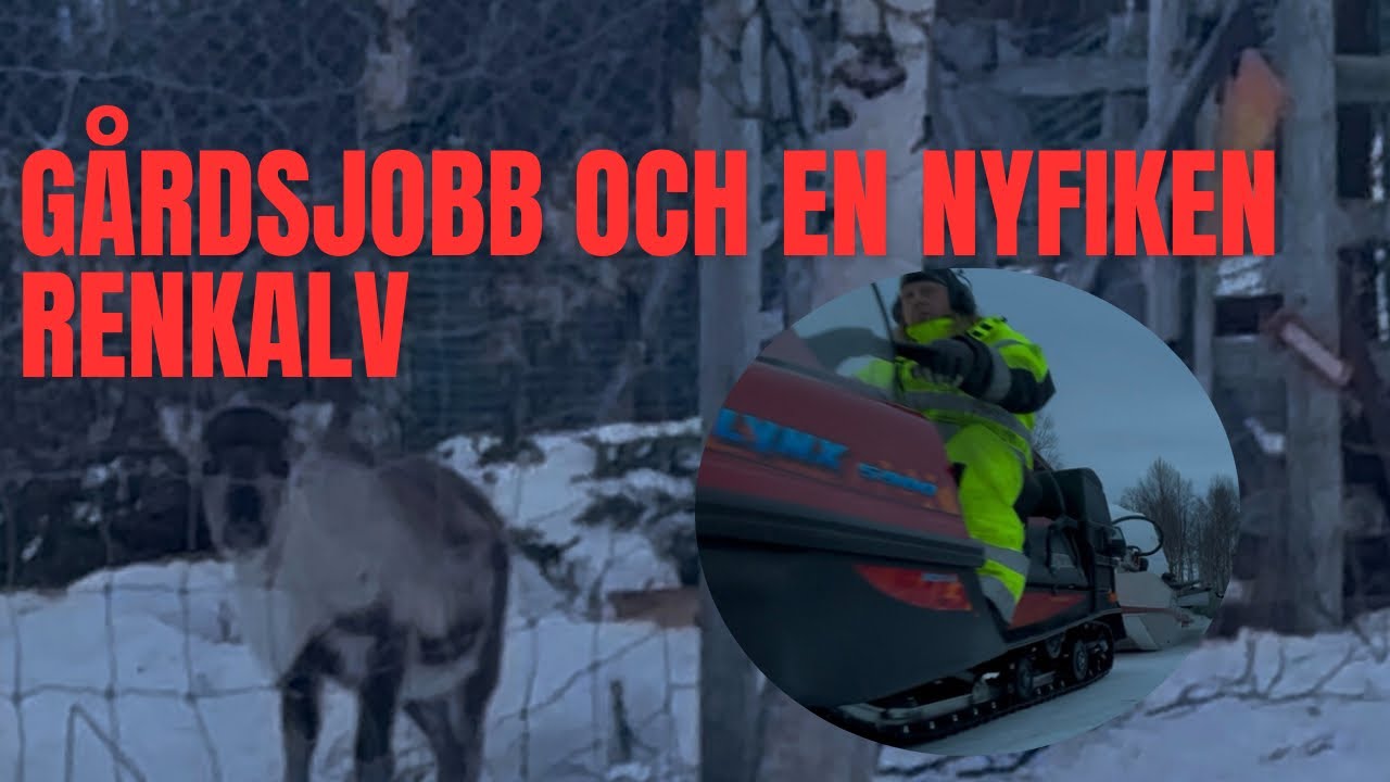 Söndagens pyssel på Skauluniemigården 