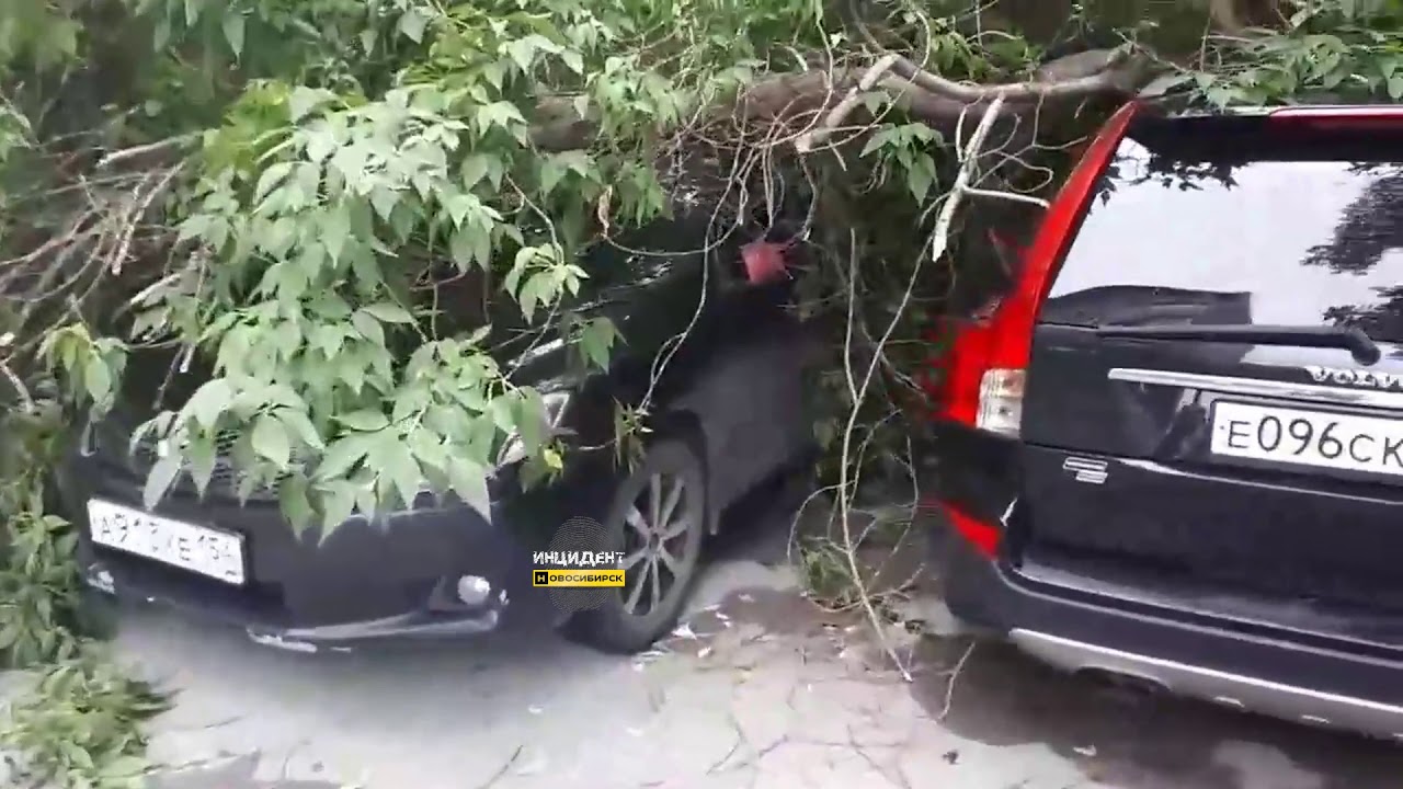 Тополь упал на машину