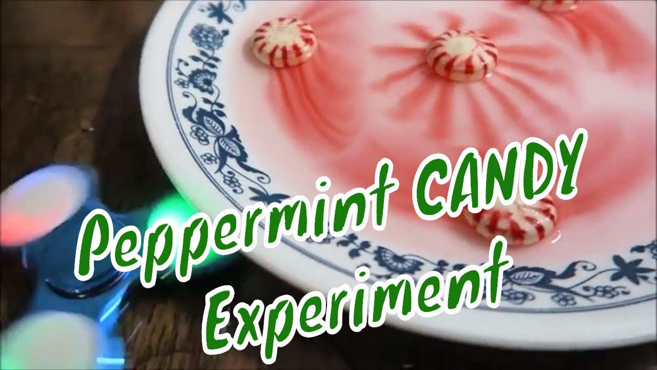 Peppermint CANDY Water Experiment Easy Kids Science Project Happy
