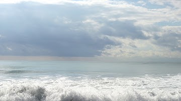 Florida Approved Products Homepage Video