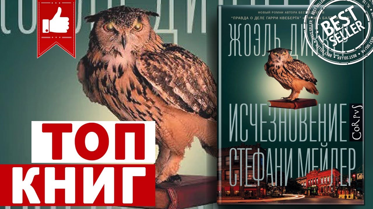 ИСЧЕЗНОВЕНИЕ СТЕФАНИ МЕЙЛЕР - Жоэль Диккер | топ книг - YouTube