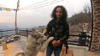 Welcoming Sanju after his first solo trip | Mountain Life Vlogs