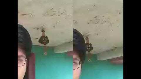 Durgesh Kumar nayak video ravswahi