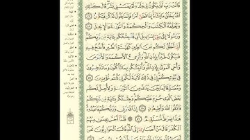 الورد اليومى.. سورة آل عمران من الاية 46 الى الاية 52 بصوت القارئ الشيخ ماهر المعيقلى