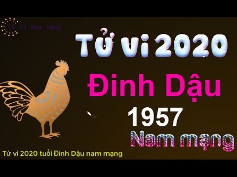 Xem tử vi năm 2020 cho tuổi TÂN DẬU sinh năm 1981 Nữ Mạng