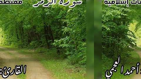 تلاوة تقشّر لها القلوب..سورة الزمر| بصوت القارئ الشيخ أحمد العجمي_ جودة عالية HD