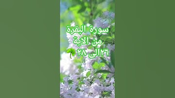 تلاوة عذبة لسورة البقرة من الآية 26 إلى 28 ☘️ #peaceful #nature #القران