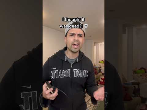 1 2 Buckle My Shoe Reversed P7 Shorts