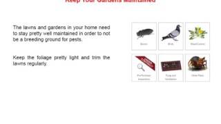 Pest Control Melbourne - Dawson’s Australia