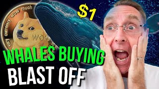 🚀 Dogecoin: (DOGE) Whales Loading Up! Will It Skyrocket? 🌟