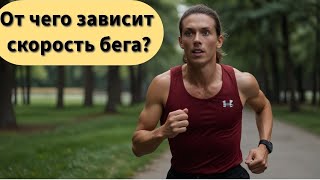 видео: От чего зависит скорость бега? картинка: От чего зависит скорость бега?