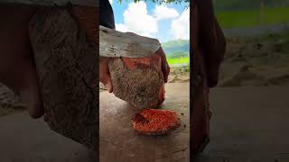 Download Lagu IMD 6712939 mini  rotary tillage and ridging all-in one short view #travel#beach #flowers MP3