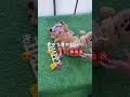 お食い初め(百日祝い)@スタジオアリス 2