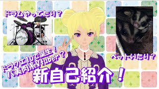 「新・自己紹介動画！【#Vtuber】」のサムネイル